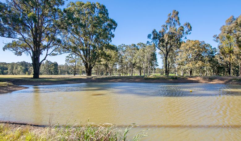 Accommodation Image for Brokenback Vineyard Cottage