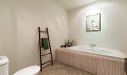 Master Bedroom - Spa bath