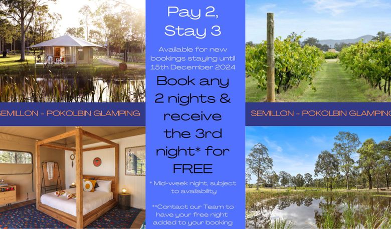 Accommodation Image for Semillon - Pokolbin