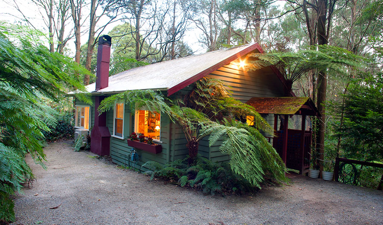 Accommodation Image for Cottage in the Forest